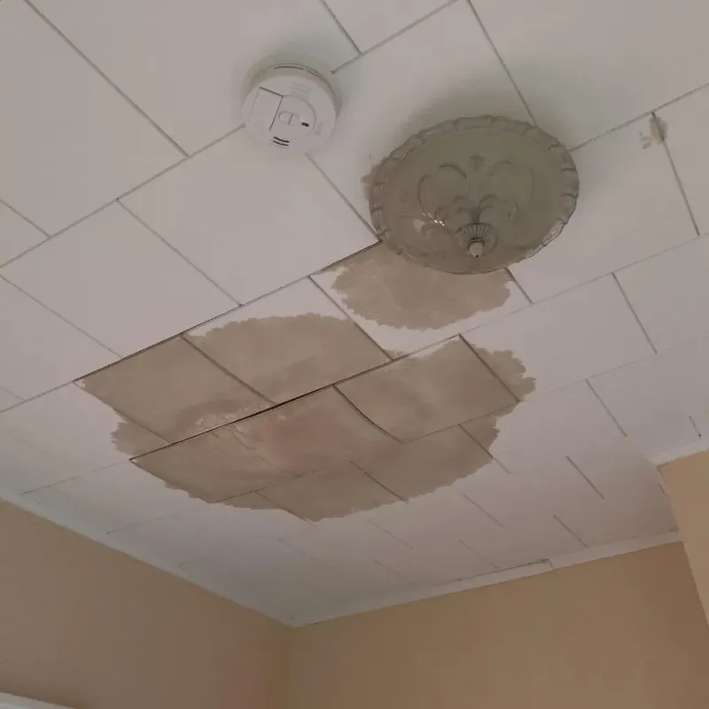 Ceiling Water Damage Repair in Shawnee Hills, OH