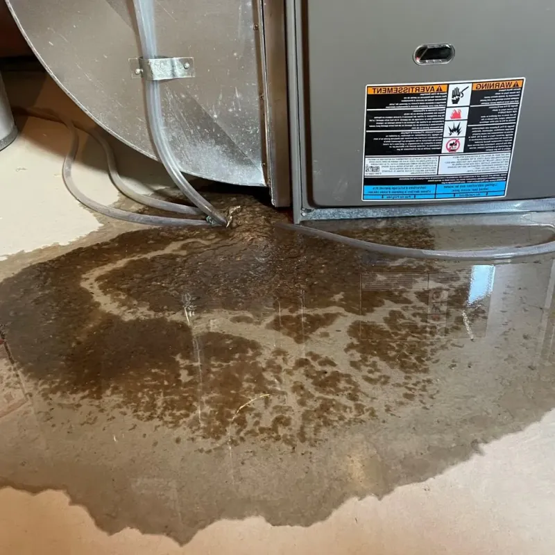 Pipe Burst and Leak Restoration in Shawnee Hills, OH