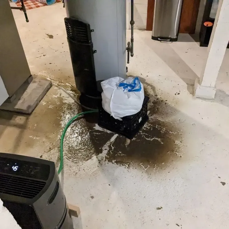 Sewage Backup Cleanup Service in Shawnee Hills, OH
